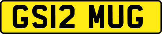 GS12MUG