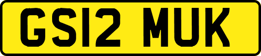 GS12MUK
