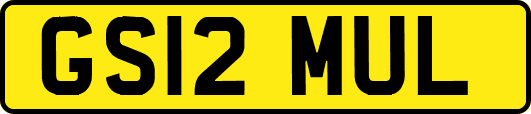 GS12MUL