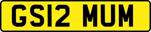 GS12MUM