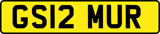 GS12MUR