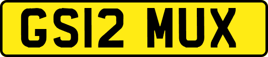 GS12MUX