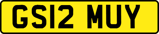 GS12MUY