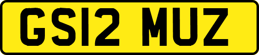 GS12MUZ
