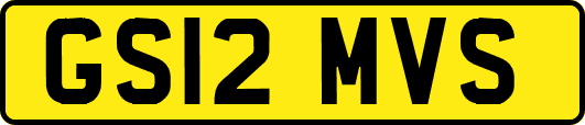 GS12MVS