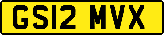 GS12MVX