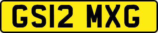 GS12MXG