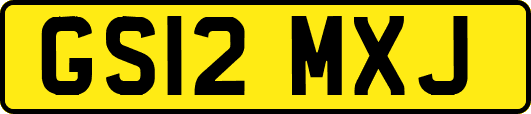 GS12MXJ