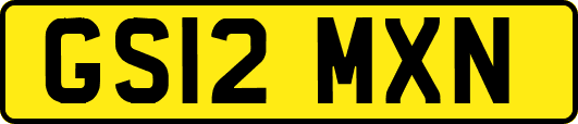 GS12MXN