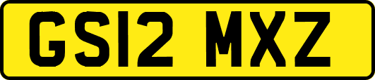 GS12MXZ
