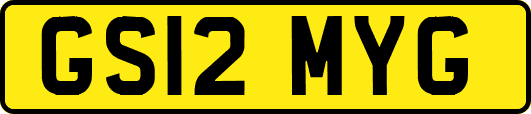 GS12MYG
