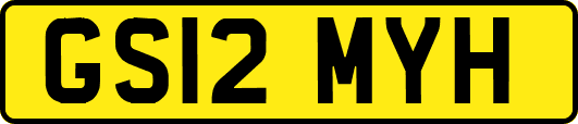 GS12MYH