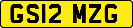 GS12MZG