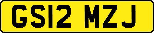 GS12MZJ