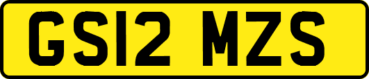 GS12MZS