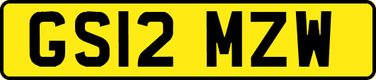 GS12MZW