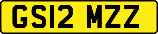 GS12MZZ