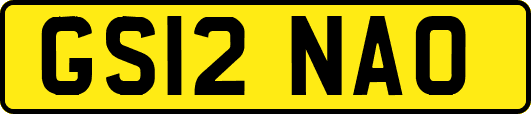 GS12NAO