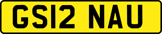 GS12NAU