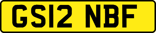 GS12NBF