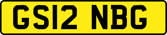 GS12NBG