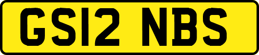 GS12NBS