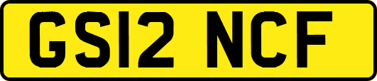 GS12NCF