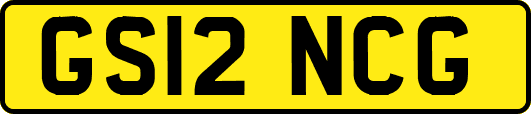 GS12NCG