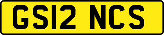 GS12NCS