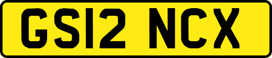 GS12NCX