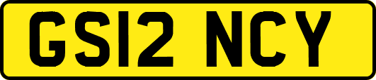 GS12NCY
