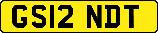 GS12NDT