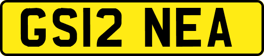 GS12NEA