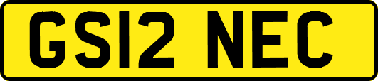 GS12NEC