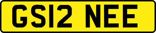 GS12NEE