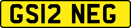 GS12NEG