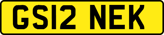 GS12NEK