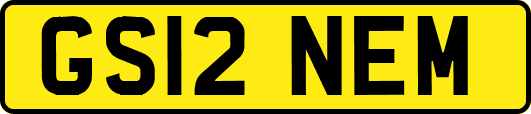 GS12NEM