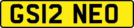 GS12NEO