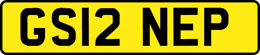 GS12NEP