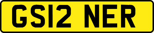 GS12NER