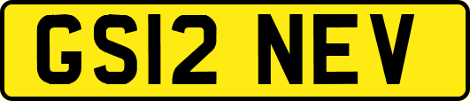 GS12NEV