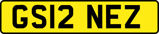 GS12NEZ