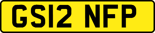 GS12NFP