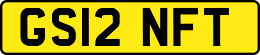 GS12NFT
