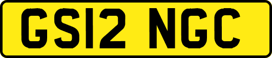 GS12NGC
