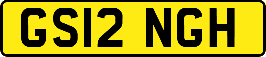 GS12NGH
