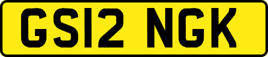 GS12NGK
