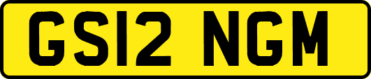 GS12NGM