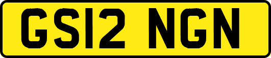 GS12NGN
